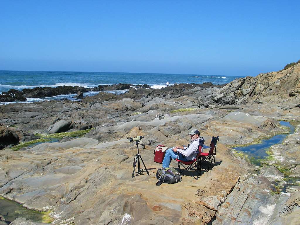 Sitting on rocks by the ocean